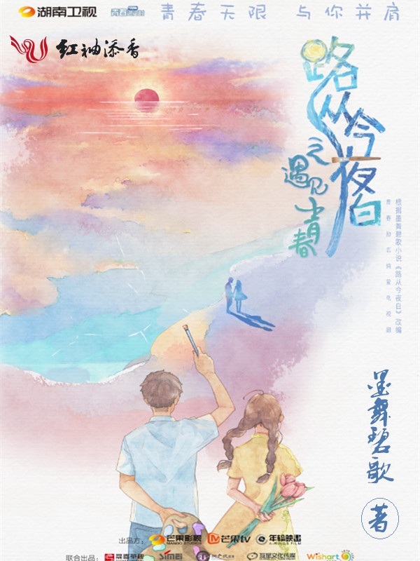 路从今夜白小说封面