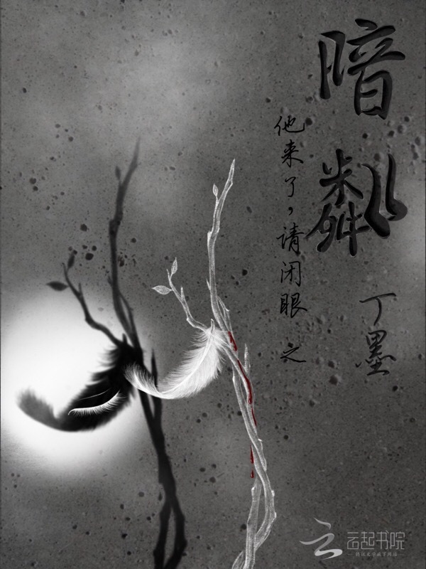 他来了请闭眼之暗粼小说封面