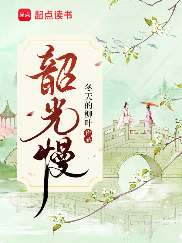 韶光慢小说封面
