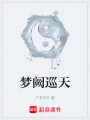 《梦阙巡天》封面