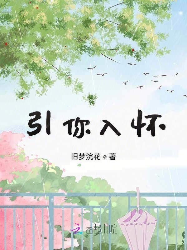 引你入怀小说封面