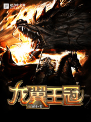 《龙翼王冠》封面