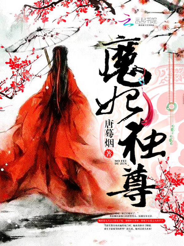 魔妃独尊小说封面