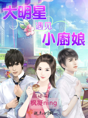 《大明星遇见小厨娘》封面