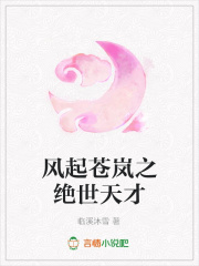 风起苍岚之绝世天才