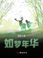 如梦年华