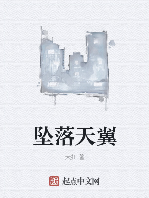 《坠落天翼》封面