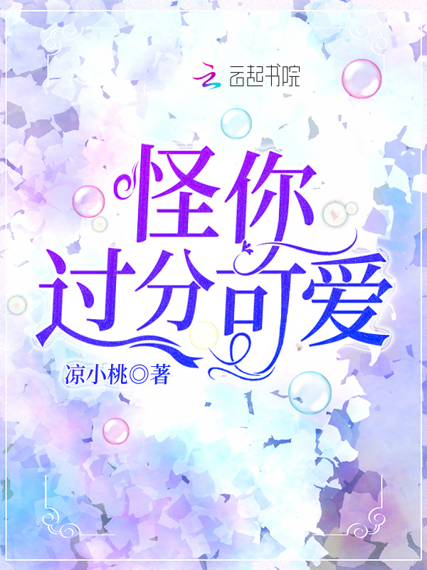怪你过分可爱小说封面