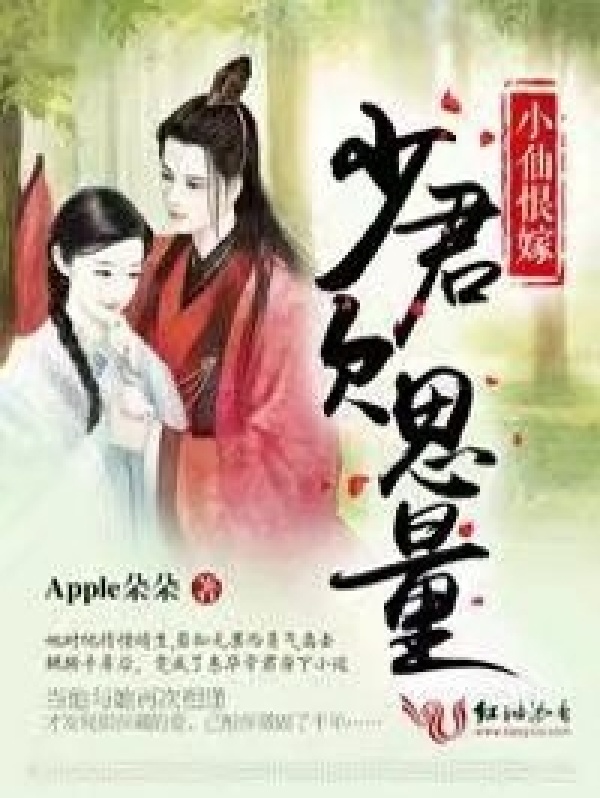 小仙恨嫁，少君欠思量小说封面