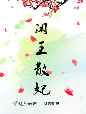 《闲王散妃》封面
