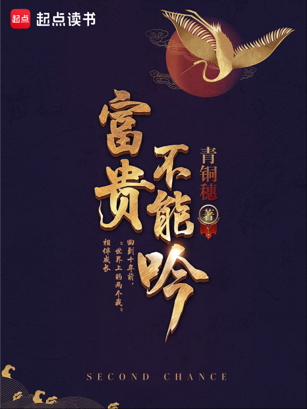 富贵不能吟小说封面