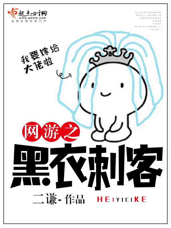 网游之黑衣刺客小说封面