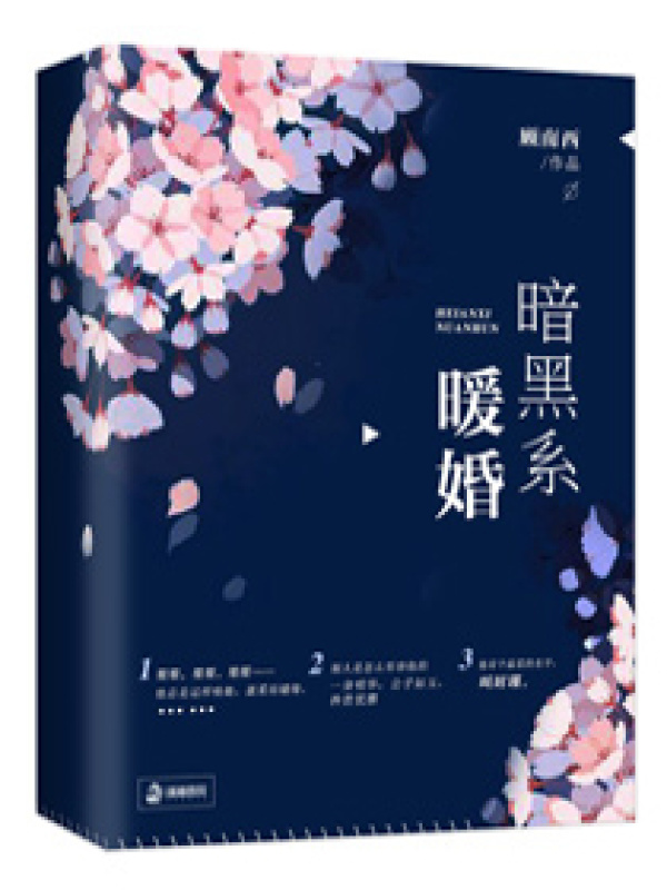 暗黑系暖婚小说封面