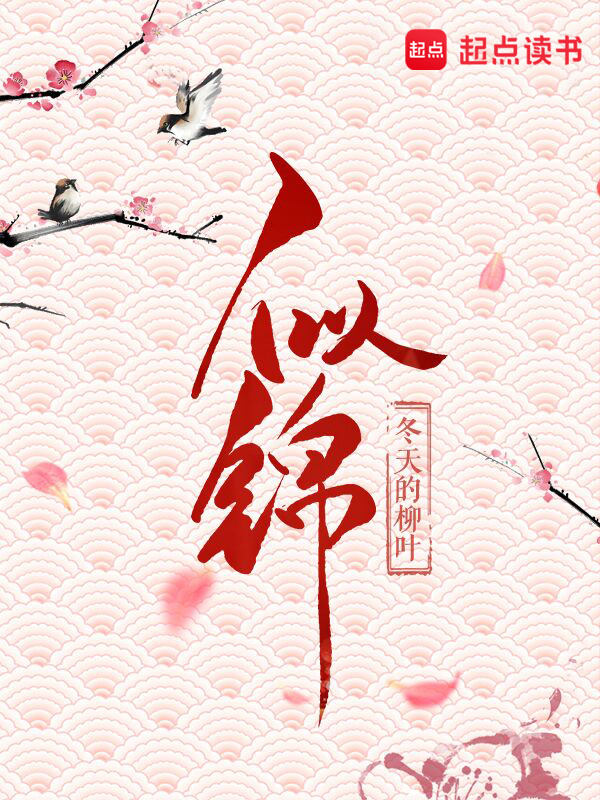 似锦小说封面
