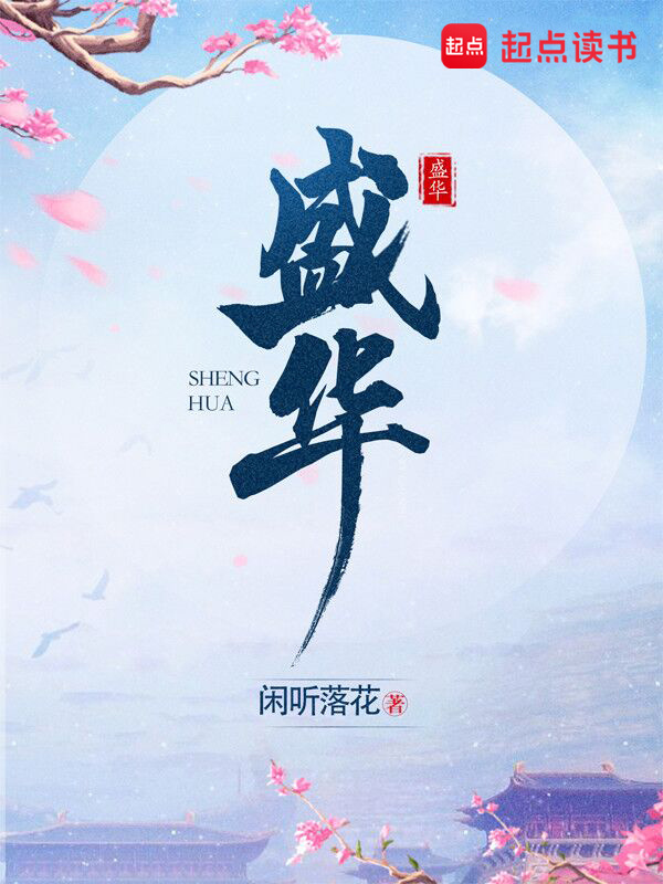 盛华小说封面