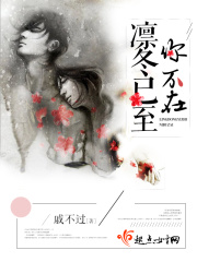 《凛冬已至你不在》封面