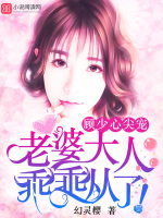 顾少心尖宠：老婆大人，乖乖从了