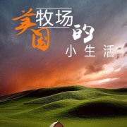 美国牧场的小生活丨AI版在线阅读