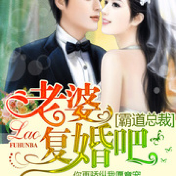 霸道总裁：老婆复婚吧在线阅读
